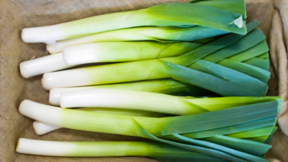 Get your garden ready for the summer salad leeks